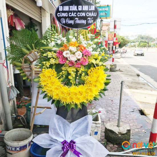 điện hoa vinh nghệ an