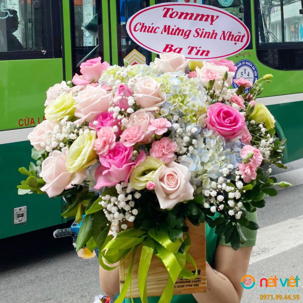 hoa bình thạnh