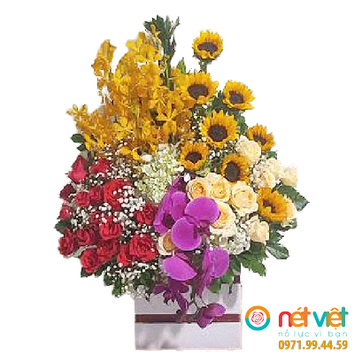 Điều Ngọt Ngào