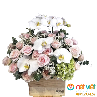 Nhịp Đập Yêu Thương