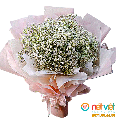 Baby's breath