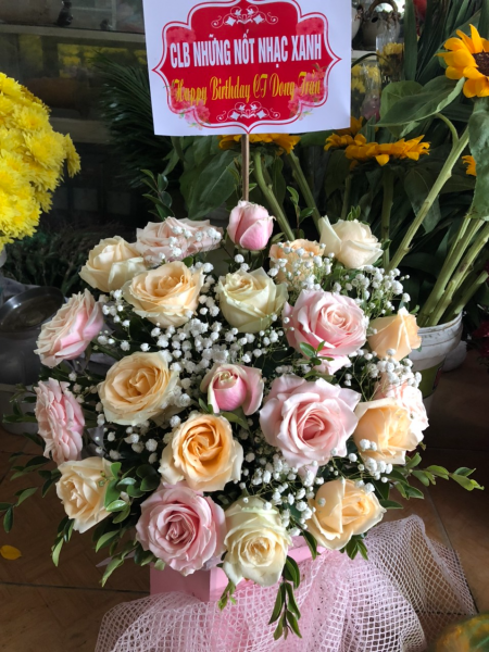 Huyện Thuỷ Nguyên Thành phố Hải Phòng