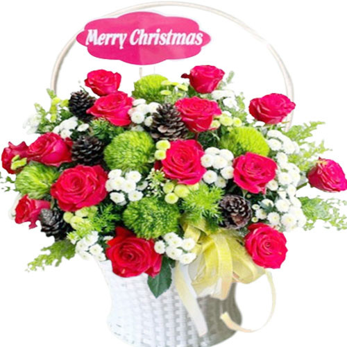 Hoa giáng sinh We Wish You a Merry Christmas
