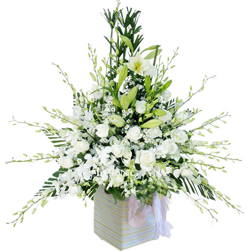 Giỏ viếng hoa lan trắng