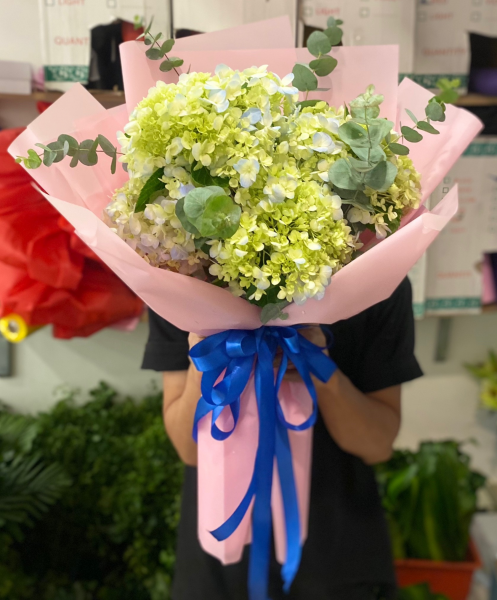 Hoa tú cầu nhung nhớ