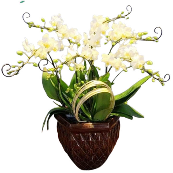 Mẫu hoa mừng tân gia