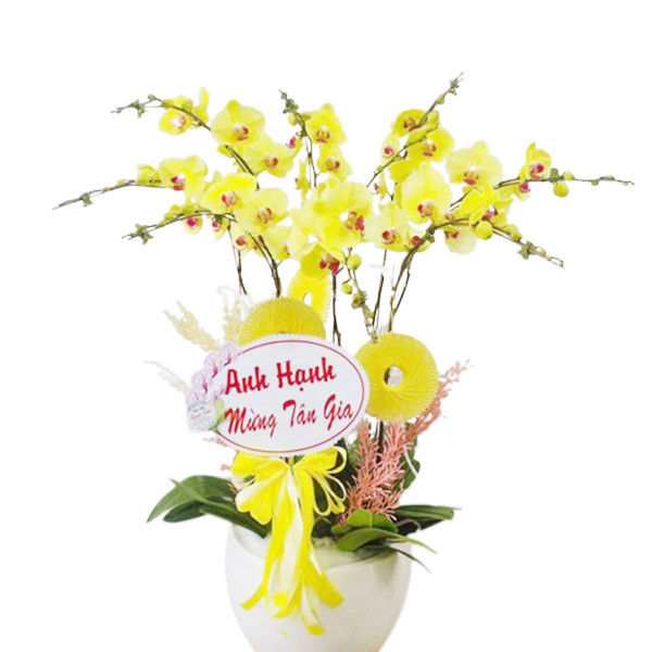 Hoa mừng tân gia chậu lan 7 cành hoa vàng là biểu tượng của sự gắn bó, là dấu hiệu cho một mối quan hệ tốt đẹp