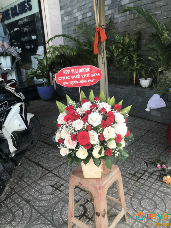 hinh-anh
