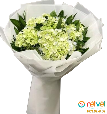 Hoa Tú Cầu May Mắn Quận 1