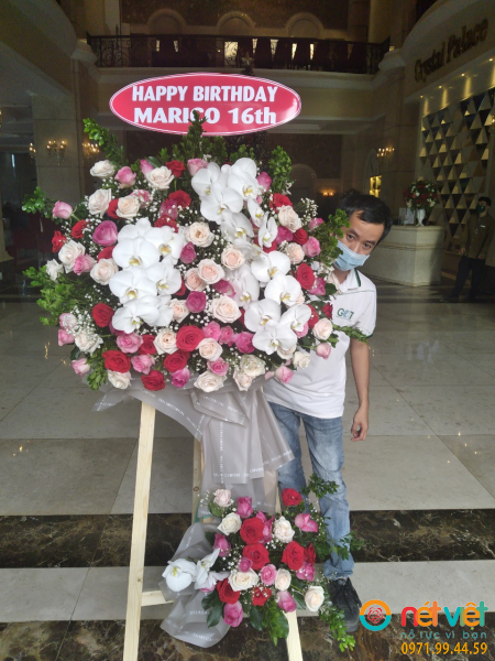 hinh-anh