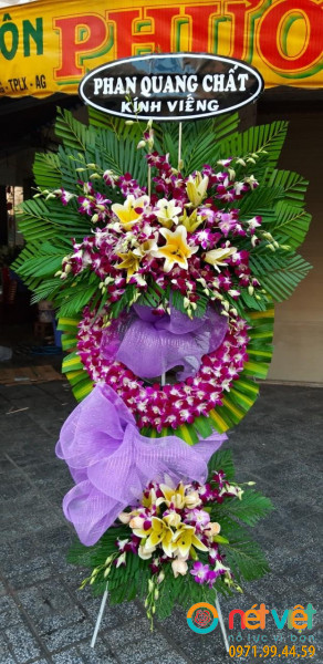 Hoa viếng lan tím