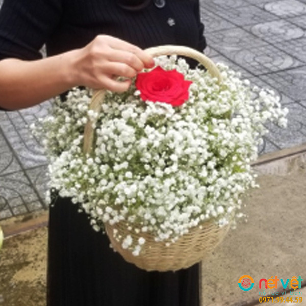 giỏ hoa tặng sinh nhật để bàn ở Nghi Lộc Nghệ An