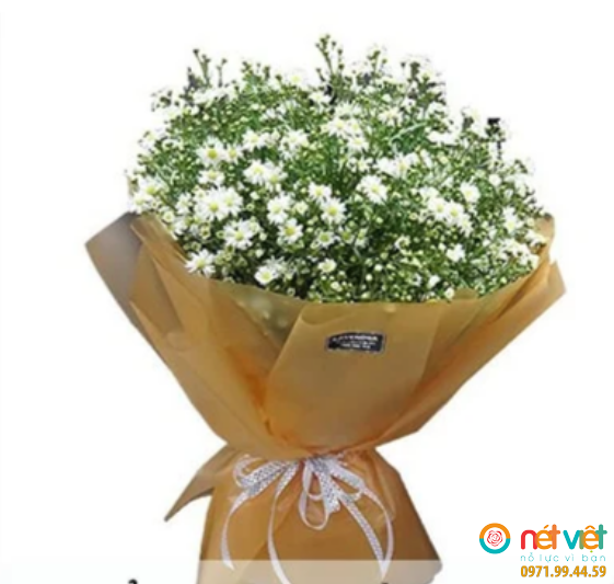 Bó hoa thạch thảo trắng