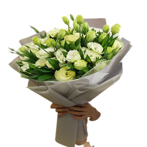 Bó hoa cát tường xanh