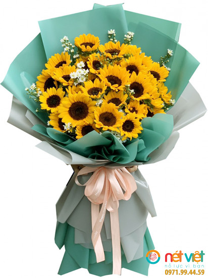 Hướng dương 50 cành