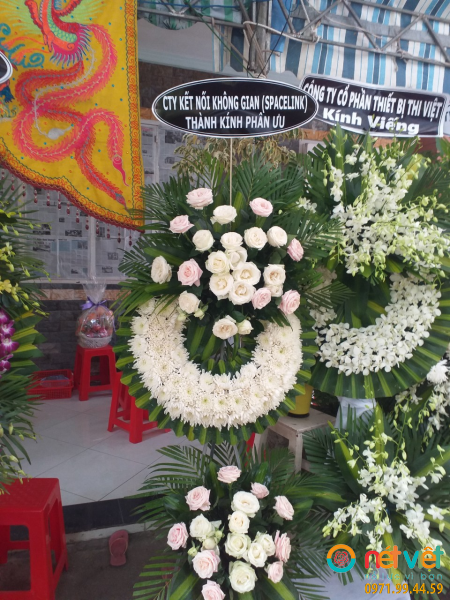 hinh-anh