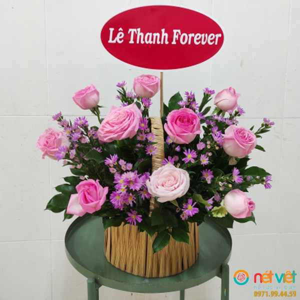 hoa tang me 8 3 ở Thới Bình Cà Mau