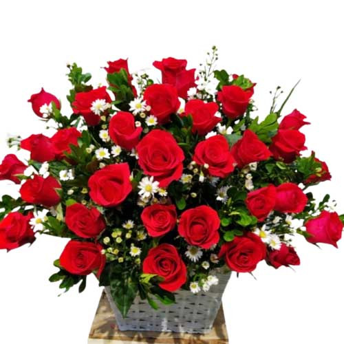 A basket of fresh red roses with beautiful white orchids is a gift full