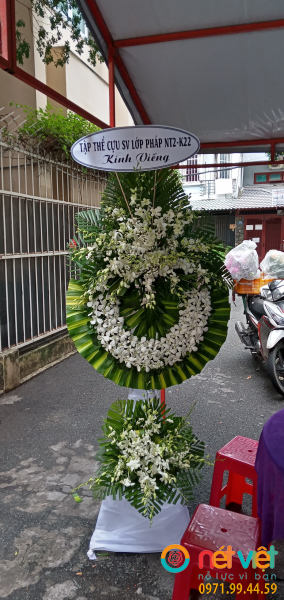 hinh-anh