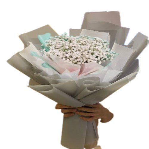 Bó baby trắng nhỏ