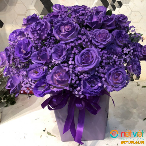 99 mẫu hoa sinh nhật màu tím đẹp và ý nghĩa nhất GIAO NHANH