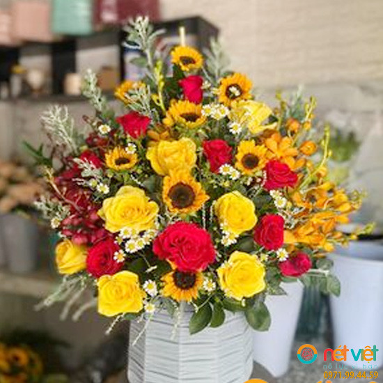 Shop Hoa Tươi Ninh Thuận - Hộp hoa chúc mừng hoa hồng và hoa hướng dương! Tặng ngọt ngào và tươi mới
