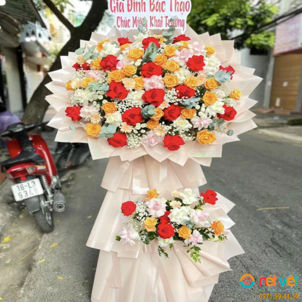 điện hoa yên bái (5)