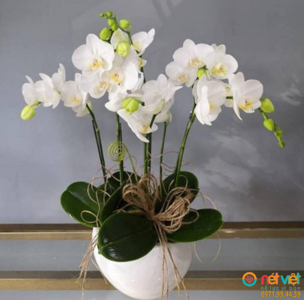 mẫu được ưa chuộng và yêu thích nhất với cách trang trí đẹp mắt