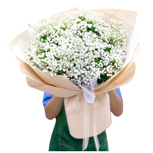 bo hoa dep chuc mung sinh nhat ở Trà Vinh