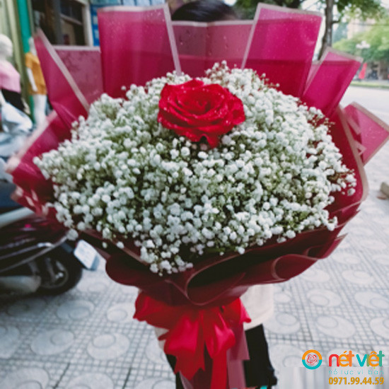 bông tăng sinh nhât ở Vĩnh Phúc