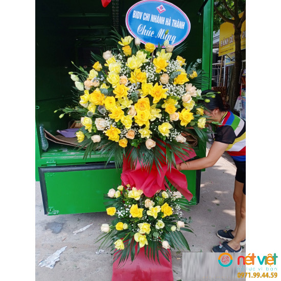 hoa chuc quy ở Hà Giang