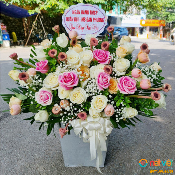 mẫu hoa chúc mừng ở Vĩnh Phúc