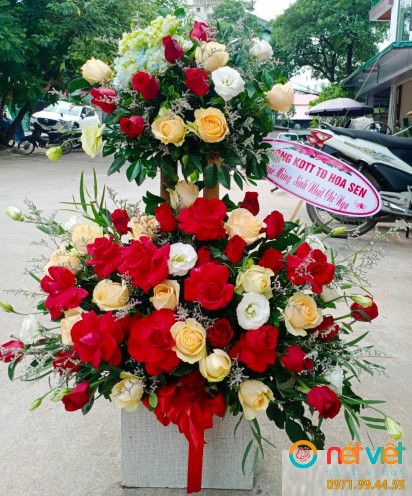 hoa đẹp tặng vợ ở Vĩnh Phúc