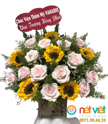 Hướng dương bừng nắng