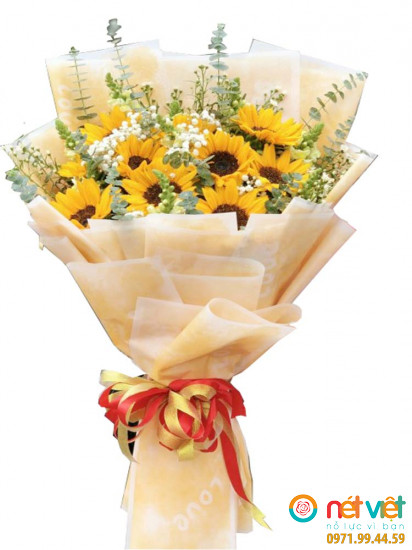 Hướng dương & lá bạc