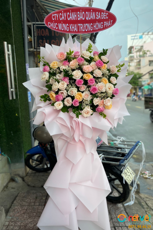 hinh-anh