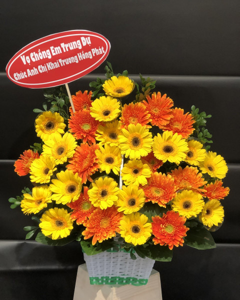 Giỏ hoa đồng tiền mừng khai trương (1)