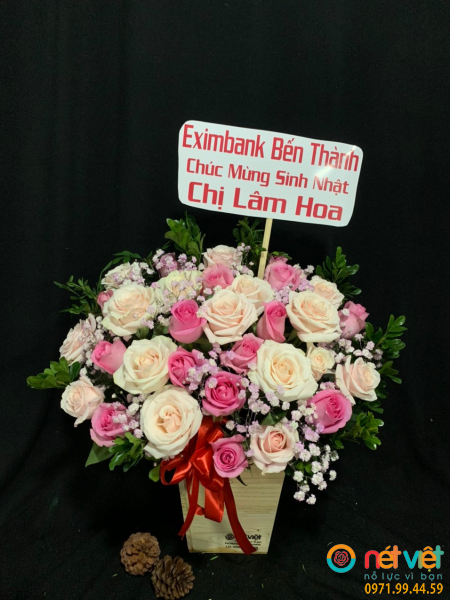 hinh-anh